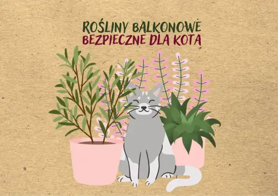Rośliny bezpieczne dla kota. Co wybrać do domu i ogrodu?